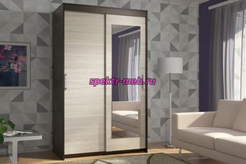 ЭВА Шкаф-купе ШК-016