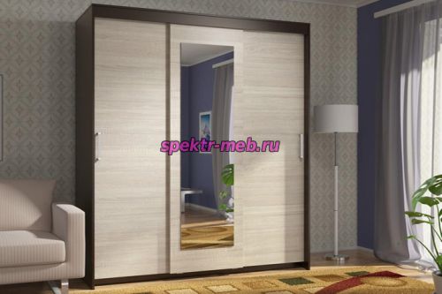 ЭВА Шкаф-купе ШК-017