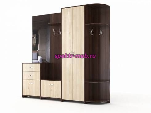 Прихожая Арт 9