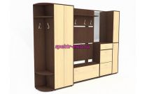 Прихожая Дарвой