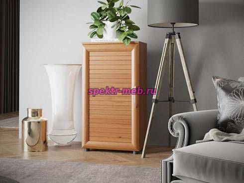 Шкаф обувной Бона-3