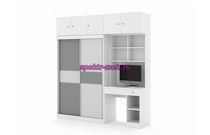 Шкаф-купе со столом Вавилон 2