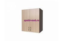 Шкаф навесной Тоник 2 двери