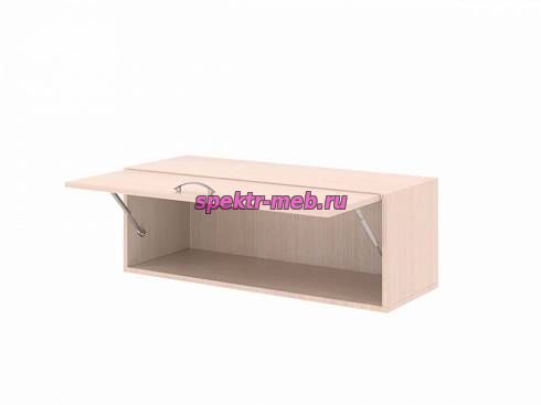 Полка навесная с дверью ПП-57 ДВ-57