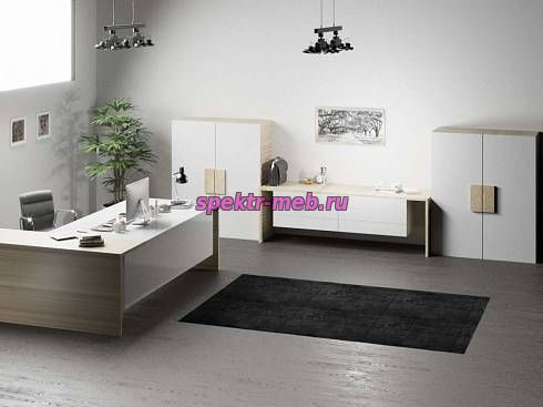 Кабинет руководителя Лира 4