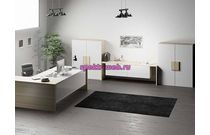 Кабинет руководителя Лира 4