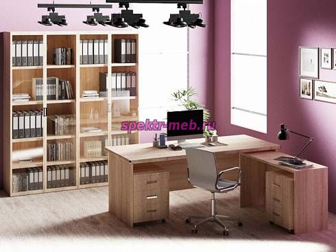 Кабинет руководителя Лира 1