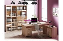 Кабинет руководителя Лира 1