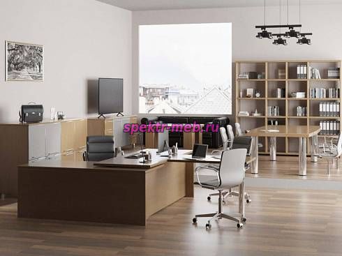 Кабинет руководителя Файн 4