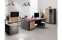 Кабинет руководителя Артос 1