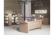 Кабинет руководителя Артос 10