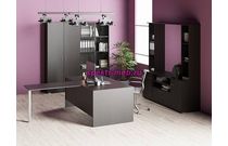 Кабинет руководителя Лира 2