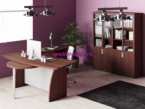 Кабинет руководителя Лира 5