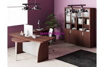 Кабинет руководителя Лира 5