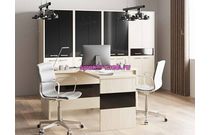 Кабинет руководителя Мирма 4