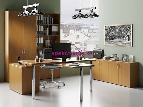 Кабинет руководителя Марио 9