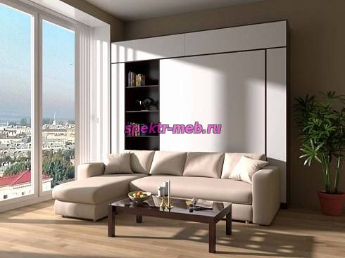 Шкаф-кровать с диваном Вера