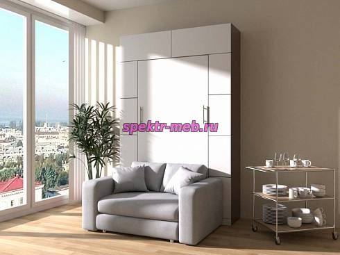 Шкаф-кровать с диваном Форт 1