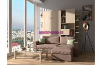 Шкаф-кровать с диваном Диалог