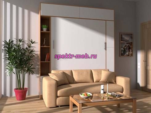 Шкаф-кровать с диваном Верона