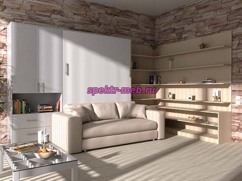 Шкаф-кровать с диваном Робин