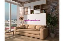 Шкаф-кровать с диваном Мартин