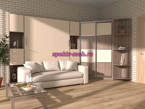 Шкаф-кровать с диваном Рональд