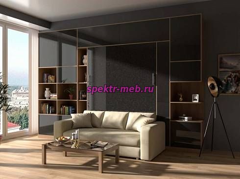 Шкаф-кровать с диваном Альвис