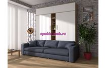 Шкаф-кровать с диваном Дуо 3