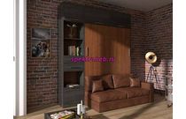 Шкаф-кровать с диваном Долли 50