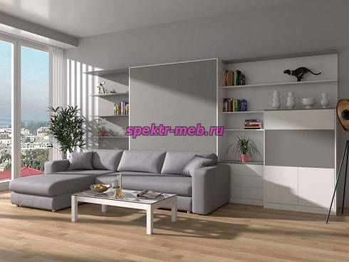 Шкаф-кровать с диваном Флора 14