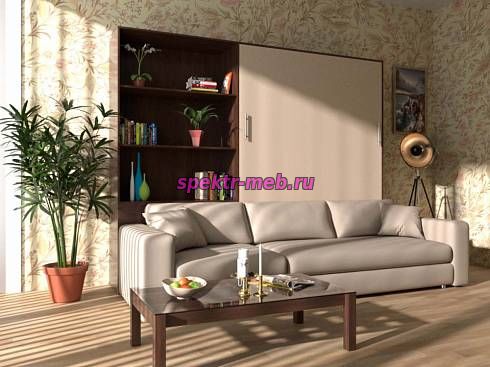 Шкаф-кровать с диваном Париж