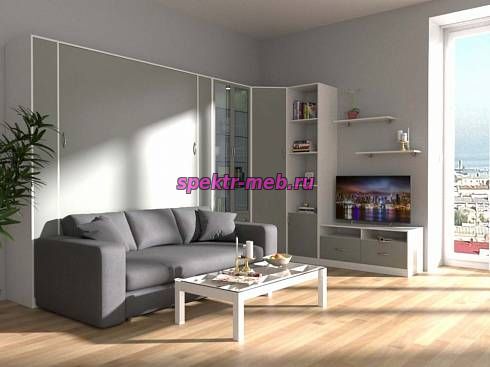 Шкаф-кровать с диваном Шелли 23