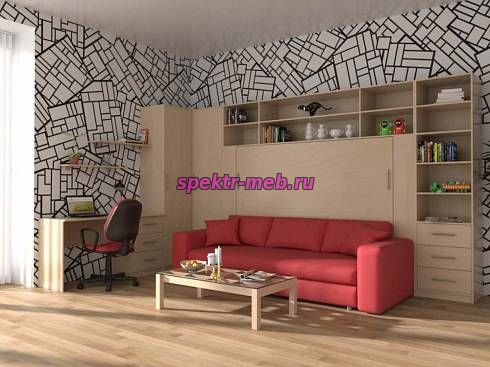Шкаф-кровать с диваном Шелли 21