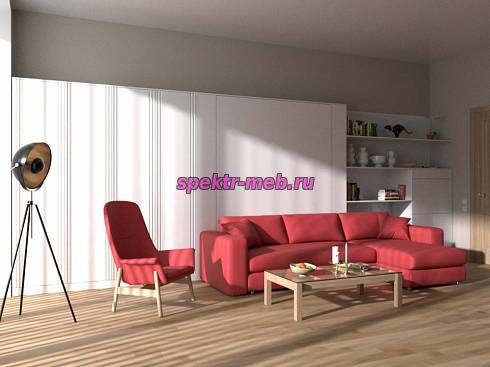 Шкаф-кровать с диваном Меган 123