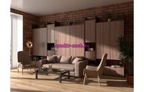 Шкаф-кровать с диваном Лотти 2