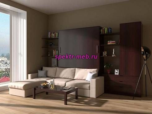 Шкаф-кровать с диваном Бернард