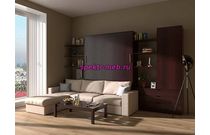 Шкаф-кровать с диваном Бернард