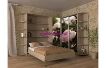 Шкаф-кровать трансформер Долли 49