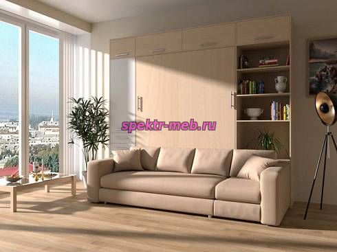 Шкаф-кровать с диваном Дана