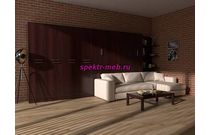 Шкаф-кровать с диваном Фиона 32