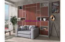 Шкаф-кровать с диваном Эльза