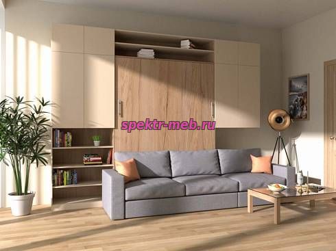 Шкаф-кровать Нью-3 с диваном