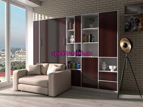 Шкаф-кровать с диваном Холли