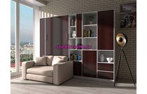 Шкаф-кровать с диваном Холли