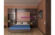 Шкаф-кровать трансформер Классика 2