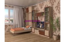 Шкаф-кровать трансформер Долли 45