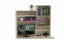 Надстройка Шайн 1