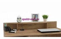 Надстройка Шайн 4