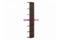 Полка Эльза 3